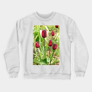 Red Tulips Crewneck Sweatshirt